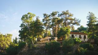 Pine View Boutique Hotel Adults Only - 6