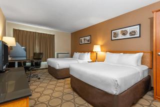 Comfort Inn - 3