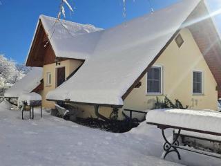 Berghütte in Sankt Andrä bei Koralpe - 6