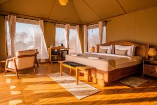 Bushland Luxury Camp - 7