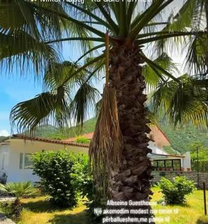 Albseina guesthouse - 2
