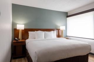 Comfort Inn - Dedham-Boston MetroWest - 6