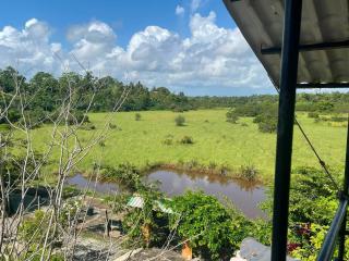 Tropical Garden Resort - 7