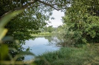 Seehaus an Badesee und Stausee - 4
