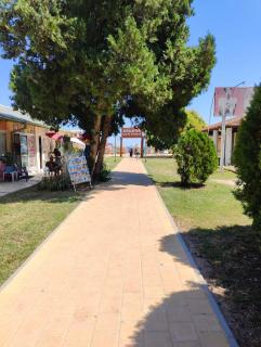 Bendita mare apartment Golden sands - 1