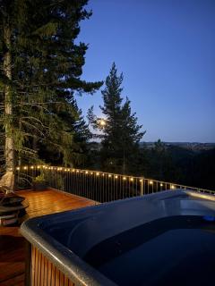 TheNest - 2