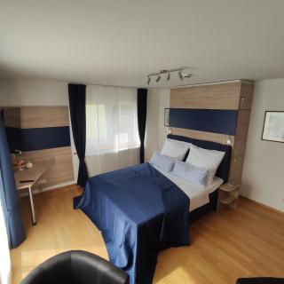Monteur- und Handwerkerunterkunft Kronachtal - 0