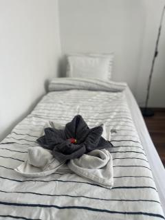 Treasure Box Apartman - Miskolc - 4