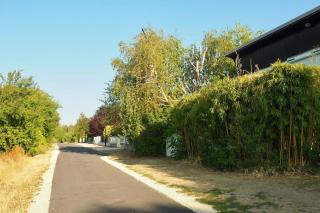 Jolie maison en bord de l'Yonne - 1