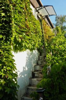 Jolie maison en bord de l'Yonne - 3