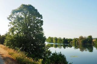 Jolie maison en bord de l'Yonne - 4