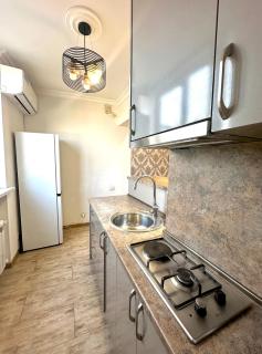 Luxury appartment Chekhov street - 8
