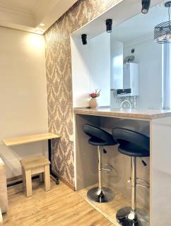 Luxury appartment Chekhov street - 2
