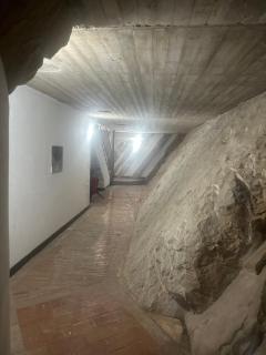 Volta Palazzo Gout - 1