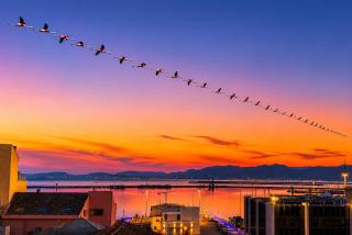 My exclusive cavour loft da sogno a cagliari - 9