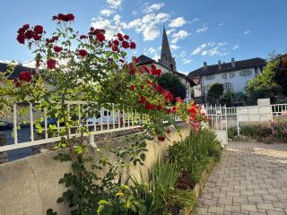 Appartement entier - 7