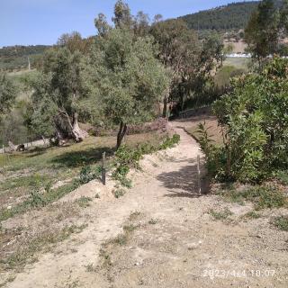 Domaine des Sloughis - 3
