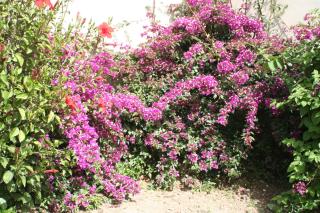 Domaine des Sloughis - 6
