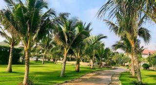 Bao Ninh Beach Resort - 6