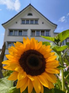 Terramar Sole Studio 12 - 0