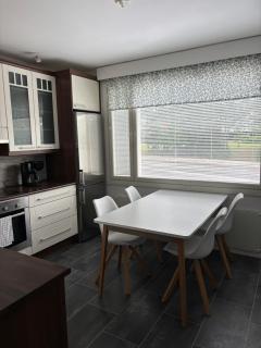 Cozy Condo Apartment In Arctic Rovaniemi - 6