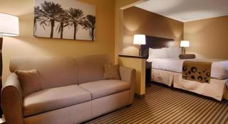 Best Western Plus Mishawaka Inn - 5