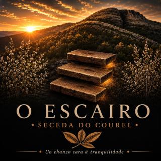 O Escairo - 9