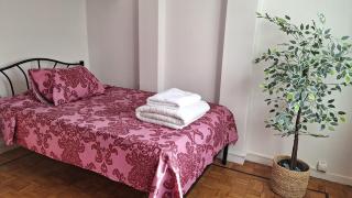 Apartment Villa in the heart of Zamalek - 7