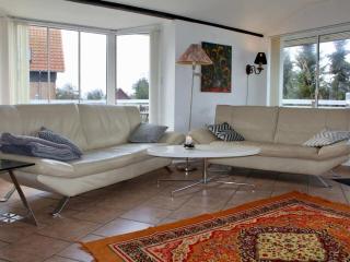 Familienfreundliches-Ferienhaus-mit-Whirlpool-Sauna-und-Ofen - 7