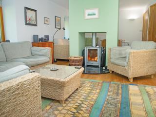 Henllys Lodge - 9