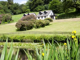 Chalet Avec Vue Sur Le Lac - Cv7102 - 1