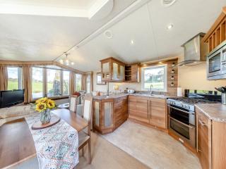 Roulotte Hafod - Uk45717 - 6