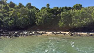 Mangrove Creek - 9