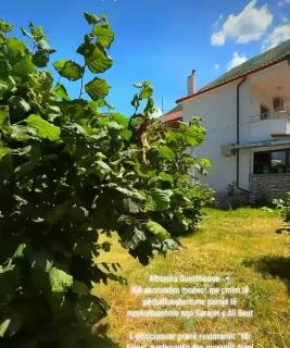 Albseina Guesthouse - 4