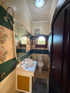 King Mariout Palace for luxury and privacy - 2