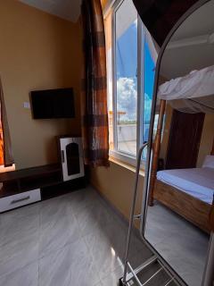 Harlequin Diani - 6