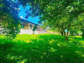Natia&Otari's Tsalani guesthouse - 7