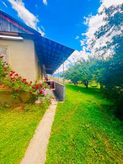 Natia&Otari's Tsalani guesthouse - 5