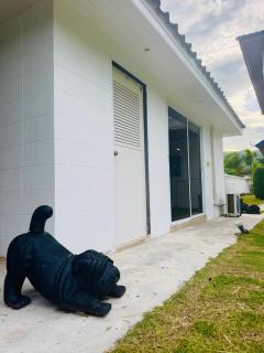 Guest home blue - 8