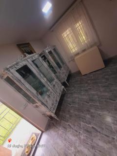 Dendro House - 7