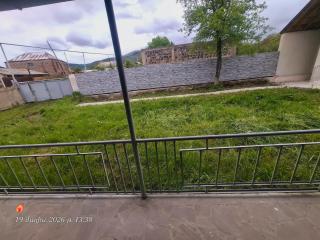 Dendro House - 6