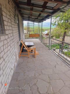 Dendro House - 5