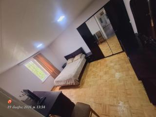 Dendro House - 4