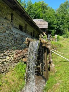 Turistična kmetija Povh - 1