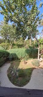 Apartment duplex Cairo Pyramids & private garden - 6