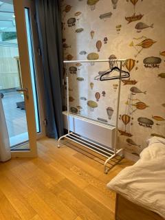 Modern Room with Sauna, Fireplace & View - 6