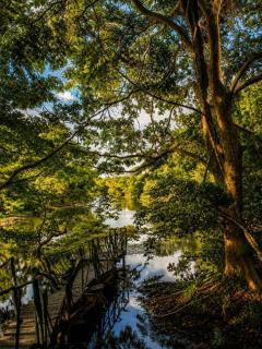Habarana Lake Breeze Cabana - 7