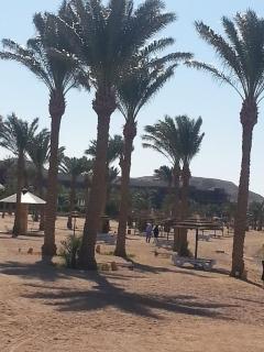 Gorgeous Sea View Apartment - Tala Bay Resort, Aqaba - 9