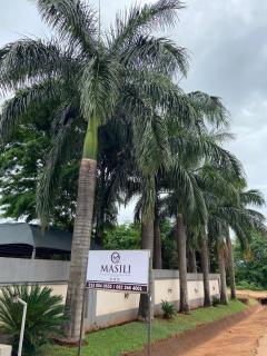 Masili Room 14 - 2