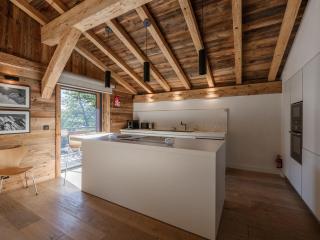 Luxueux Chalet avec Spa et Vue sur Mont Blanc - FR-1-343-253 - 3